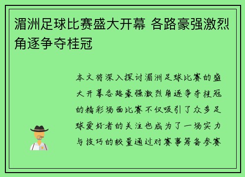 湄洲足球比赛盛大开幕 各路豪强激烈角逐争夺桂冠