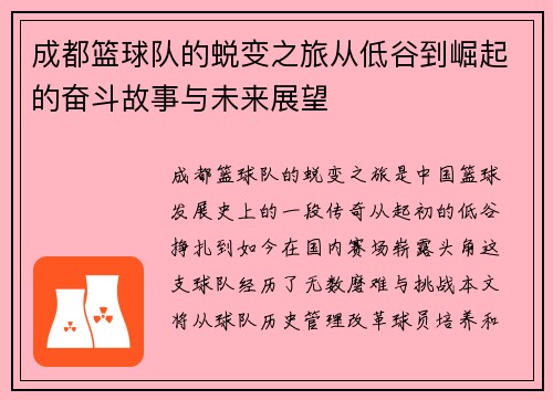 成都篮球队的蜕变之旅从低谷到崛起的奋斗故事与未来展望