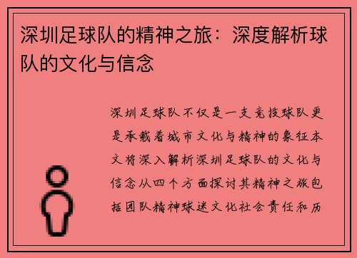 深圳足球队的精神之旅：深度解析球队的文化与信念
